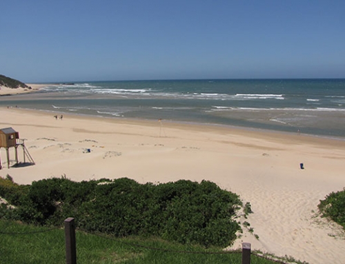 Kariega River Mouth Beach