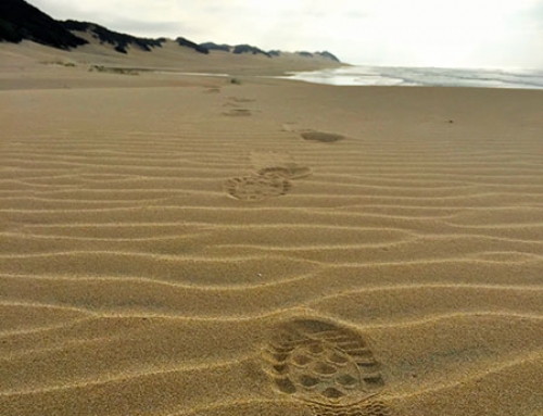 Footprints